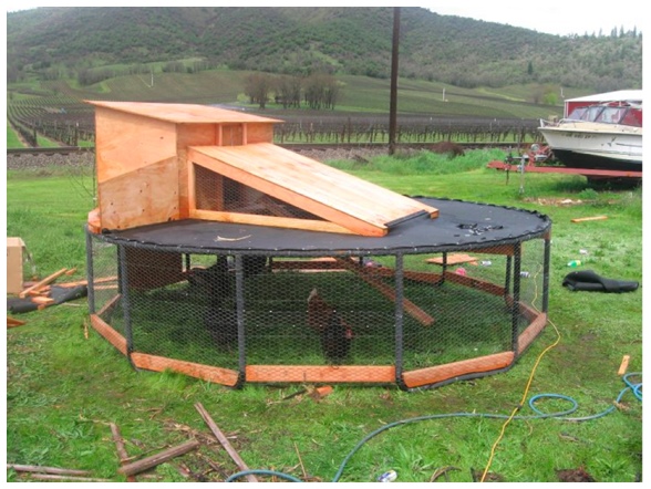Great Repurposed Ideas for Chicken Coop