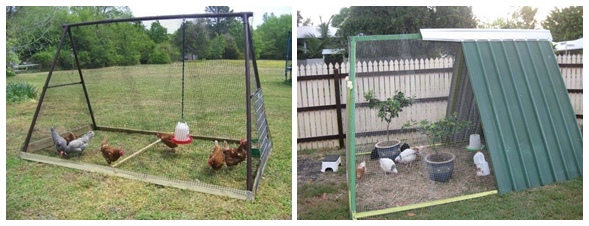 Great Repurposed Ideas for Chicken Coop