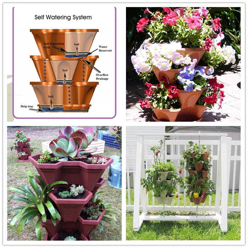 Cool Creativity — how to Grow Pretty Flowers in Vertical Gardening...