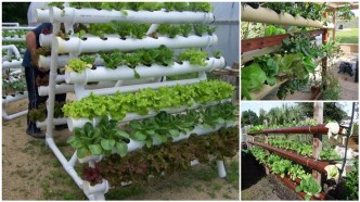 DIY Hydroponic Garden Tower Using PVC Pipes