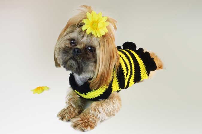 26 Beautiful Crochet Bee Patterns