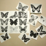 Butterfly-Made-with-Plastic-Bottles-04