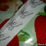 DIY-Chocolate-Butterfly-decoration-5