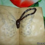 DIY-Chocolate-Butterfly-decoration-7