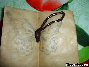 DIY-Chocolate-Butterfly-decoration-7