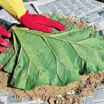 DIY-Sand-Cast-Leaf-Birdbath-03