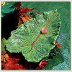 DIY-Sand-Cast-Leaf-Birdbath-09