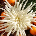 Edible-Flower-Bouquet-Cabbage-10-1