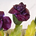 Edible-Flower-Bouquet-Cabbage-16
