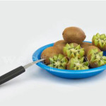 Fruit-Basket-00-04