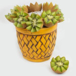 Fruit-Basket-00-05