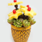 Fruit-Basket-00-08
