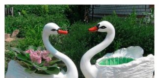 How to DIY Recycled Plastic Bottle Swan Pot Planter