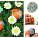 How to DIY Rock Ladybug! Easy & Fun Art!