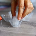 Plastic-Egg-Tray-roses-11