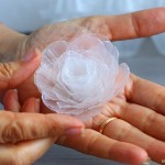 Plastic-Egg-Tray-roses-13