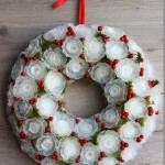 Plastic-Egg-Tray-roses-14