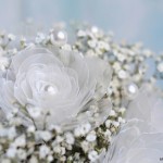 Plastic-Egg-Tray-roses-18