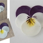 Polymer-Clay-Pansies-7