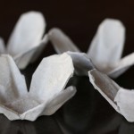egg-carton-rose-6