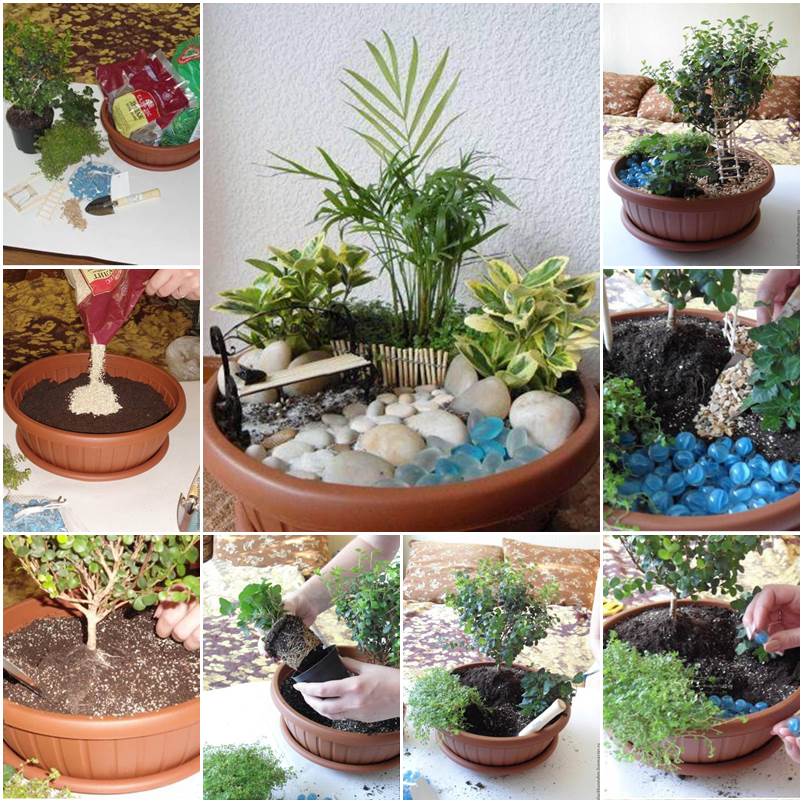 mini garden diy