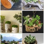 log-planter-examples