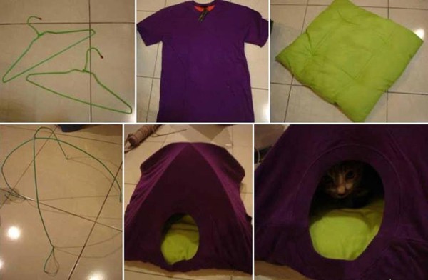  How to Make a Cat Tent In Three Easy Steps