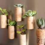 Cork-Planter-9