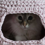 Crochet-Cat-Cave-3
