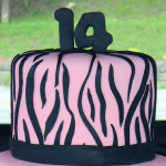 Zebra-Pattern-Cake-Outside2