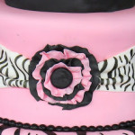 Zebra-Pattern-Cake-Outside3