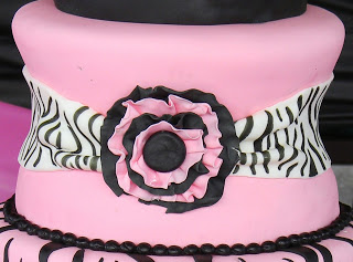 Zebra-Pattern-Cake-Outside3