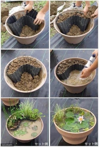 DIY Containers Garden Pond