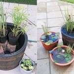 diy-containers-garden-pond-3