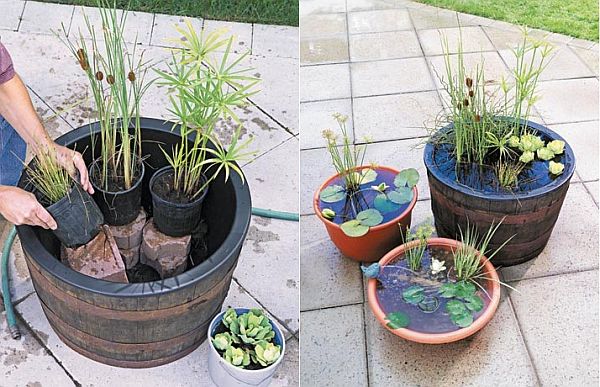 DIY Containers Garden Pond