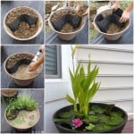 diy-containers-garden-pond-f