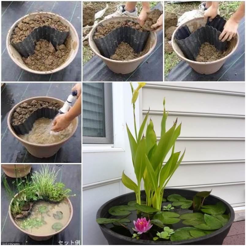 DIY Containers Garden Pond