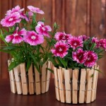 diy-make-flower-pot-with-clothespin-1