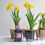 diy-make-flower-pot-with-clothespin-2