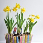 diy-make-flower-pot-with-clothespin-6