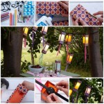 diy-outdoor-paper-lanterns-i