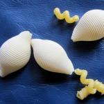 diy-pasta-butterflies-using-macaroni-shells-1