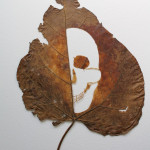 extraordinary-leaf-artwork-by-lorenzo-duran-6