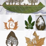 extraordinary-leaf-artwork-by-lorenzo-duran-7