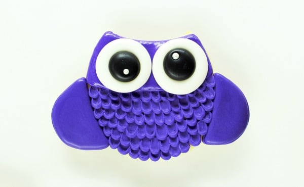How to Make Super Cute Colorful Owl Cookies