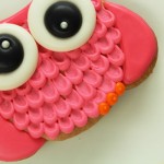 owl-cookies-11