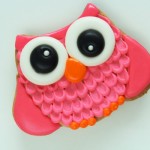 owl-cookies-12