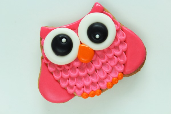 How to Make Super Cute Colorful Owl Cookies