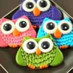 owl-cookies-13