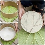 DIY Leaf  Stepping Stones